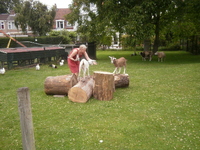904413 Afbeelding van een vrijwilligster bij de geiten van de Dierenweide Abstede (achter de Abstederhof) te Utrecht.